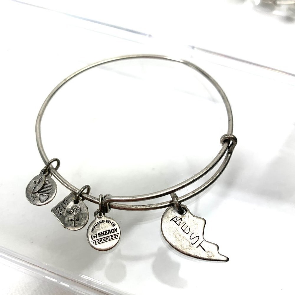 Alex and Ani Best Friend Charm Bracelet - Silver Finish Expands 2"- 3.5"